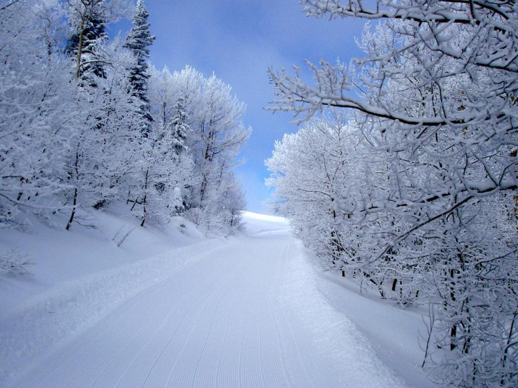Daniels Summit Lodge Wallsburg Экстерьер фото